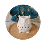 brûleur hibou