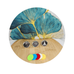 Diffuseurs voiture